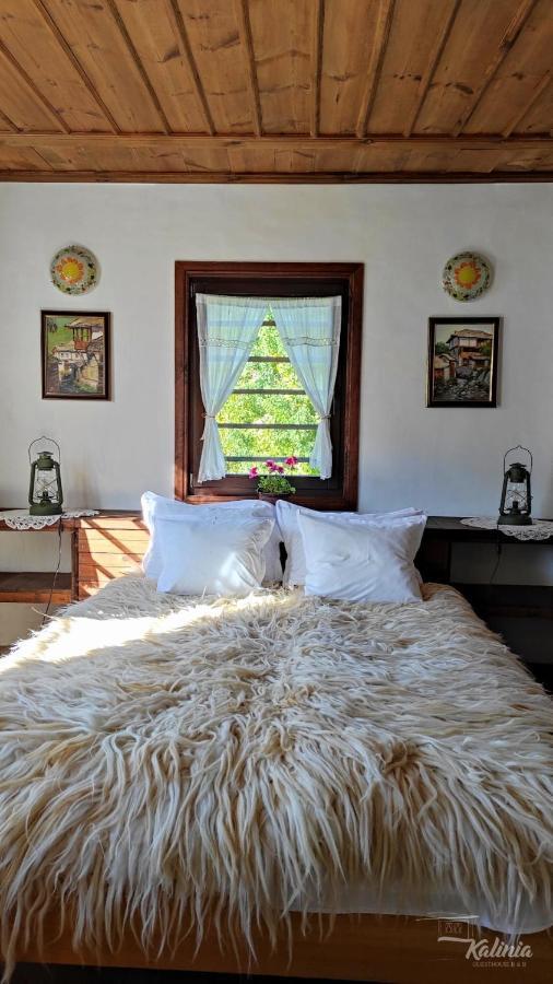 Kovačevica Kalinia Guesthouse B&B المظهر الخارجي الصورة