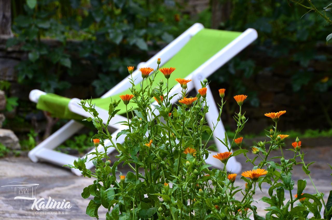 Kovačevica Kalinia Guesthouse B&B المظهر الخارجي الصورة