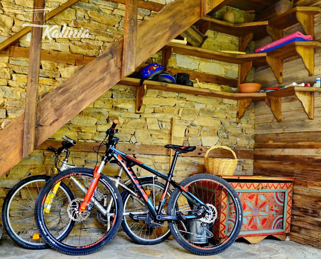 Kovačevica Kalinia Guesthouse B&B المظهر الخارجي الصورة