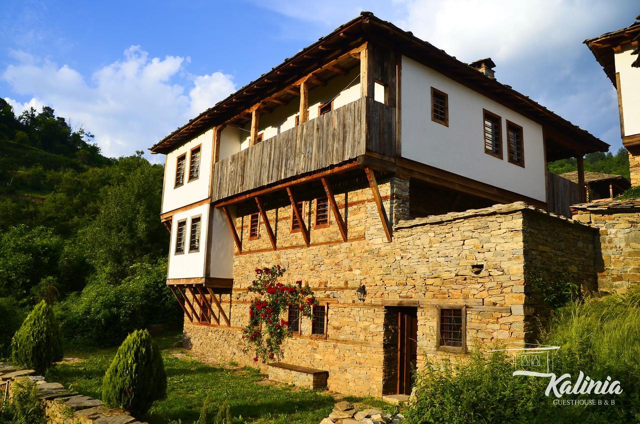 Kovačevica Kalinia Guesthouse B&B المظهر الخارجي الصورة