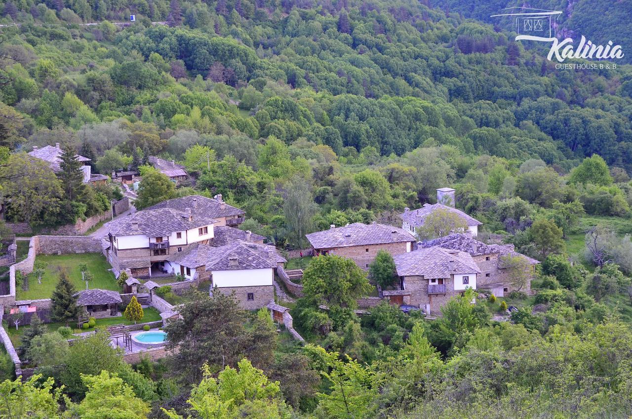Kovačevica Kalinia Guesthouse B&B المظهر الخارجي الصورة