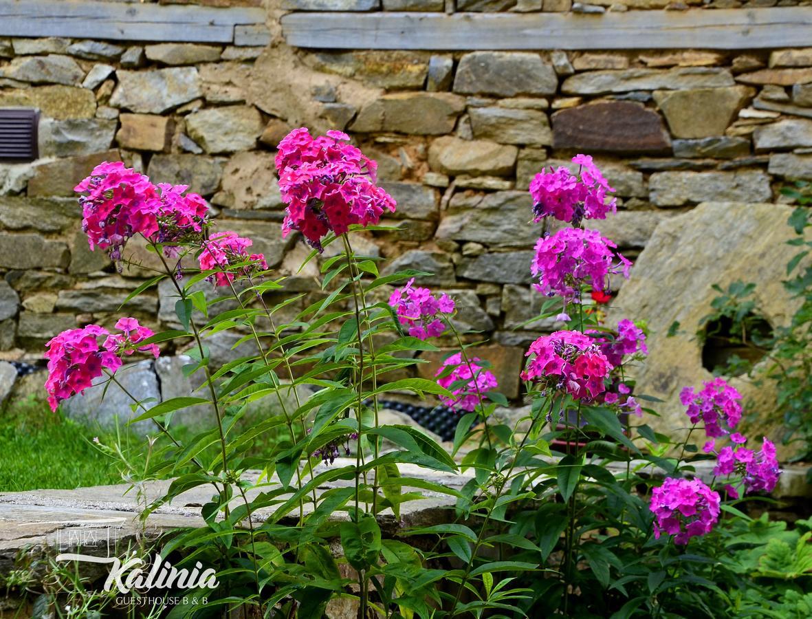 Kovačevica Kalinia Guesthouse B&B المظهر الخارجي الصورة
