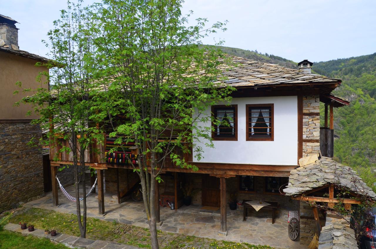 Kovačevica Kalinia Guesthouse B&B المظهر الخارجي الصورة