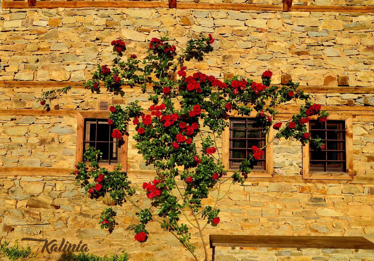 Kovačevica Kalinia Guesthouse B&B المظهر الخارجي الصورة