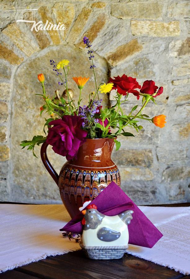 Kovačevica Kalinia Guesthouse B&B المظهر الخارجي الصورة