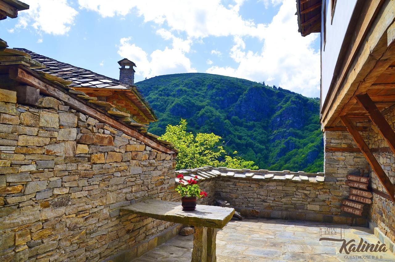 Kovačevica Kalinia Guesthouse B&B المظهر الخارجي الصورة