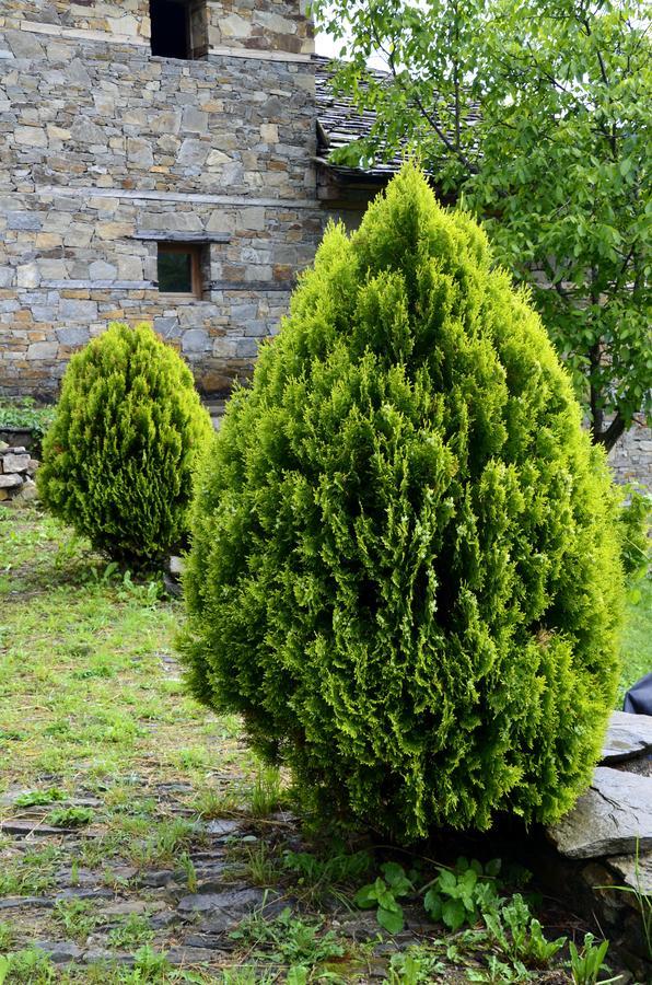 Kovačevica Kalinia Guesthouse B&B المظهر الخارجي الصورة