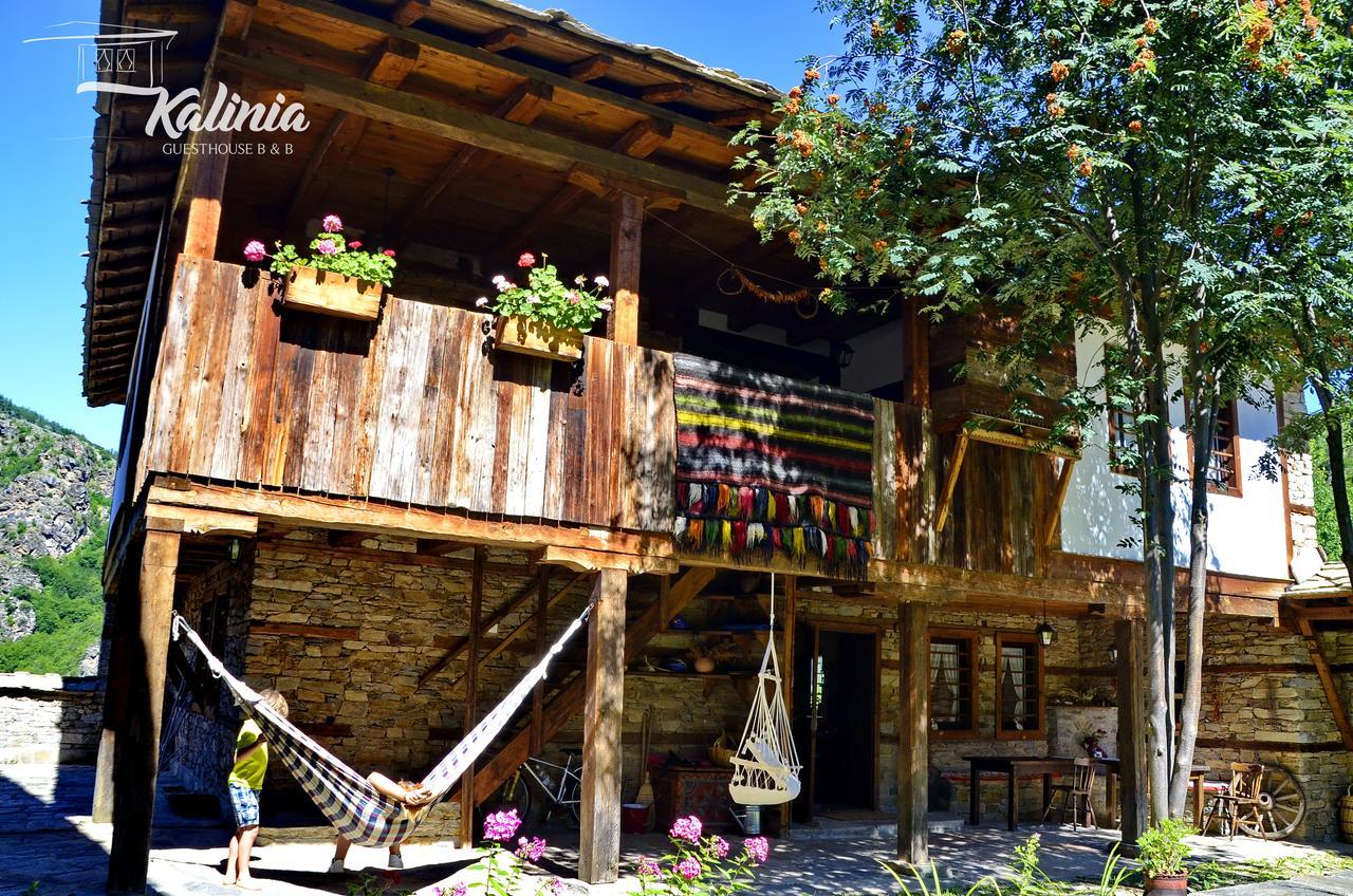 Kovačevica Kalinia Guesthouse B&B المظهر الخارجي الصورة