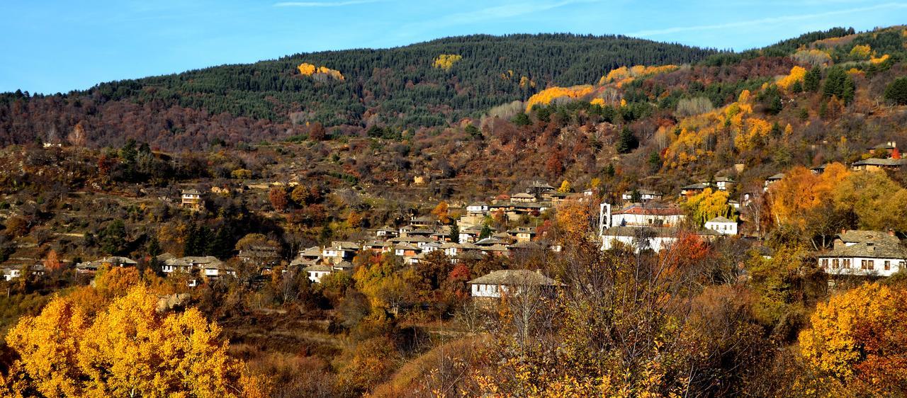 Kovačevica Kalinia Guesthouse B&B المظهر الخارجي الصورة